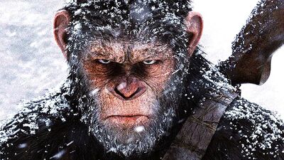 EXCLUSIVE: Andy Serkis Thinks There's More to Explore in 'Apes' Franchise