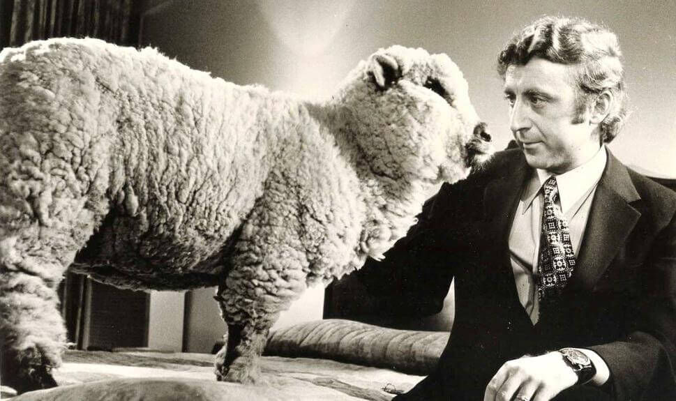 gene wilder everything sex sheep