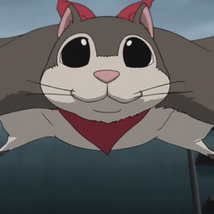 Mao Darker Than Black Wiki Fandom Powered By Wikia