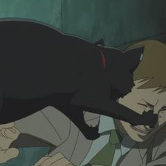 Mao Darker Than Black Wiki Fandom Powered By Wikia
