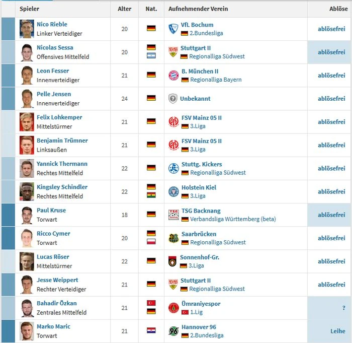 Bild Ab tsg hoffenheim II 1617 1.jpg Deutsches Fußball Archiv