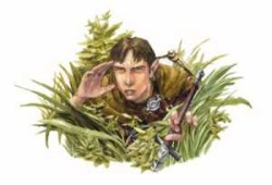 A half-elf harper agent