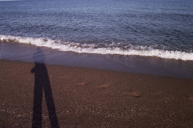 File:SHADOW.jpg