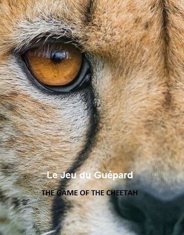 File:Cheetah-XY.jpg