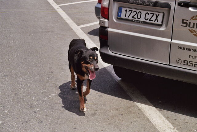 File:The vagabond.jpg