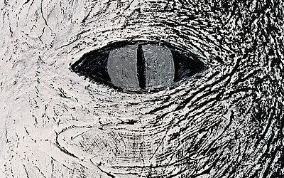 PION-LOOK-II