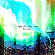 Nightbird lost wing