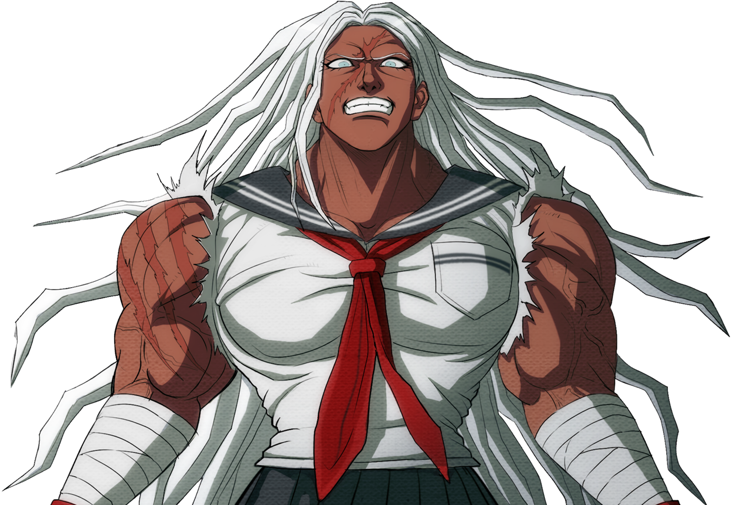 https://vignette.wikia.nocookie.net/danganronpa/images/0/05/Danganronpa_V3_Bonus_Mode_Sakura_Ogami_Sprite_%282%29.png