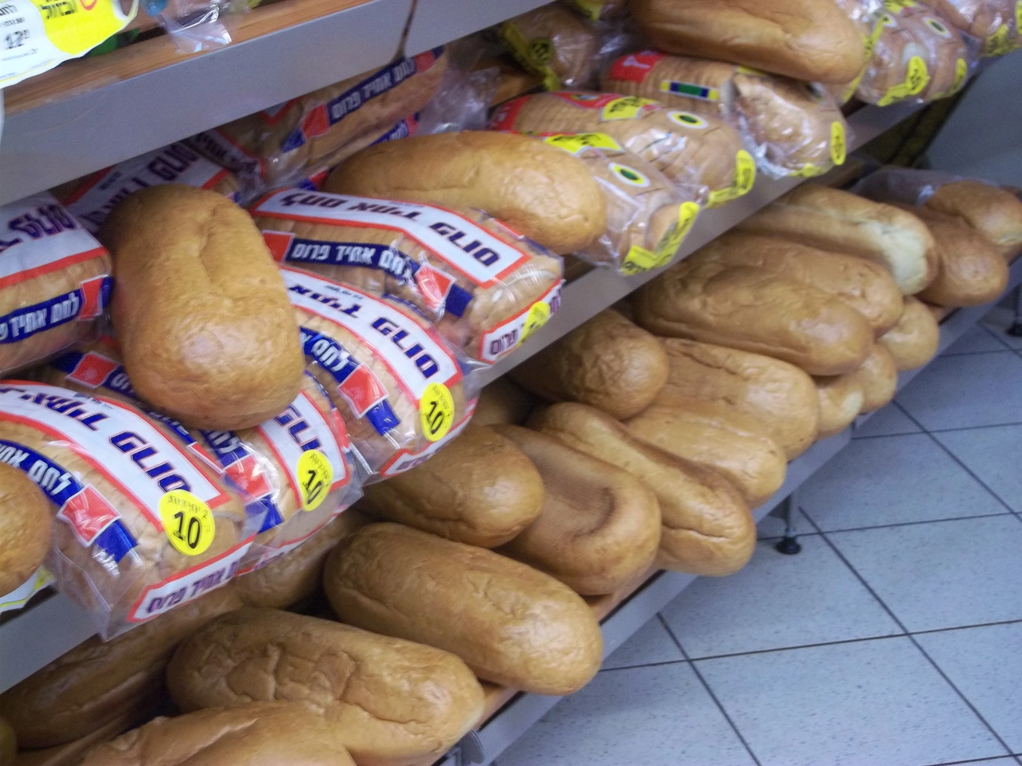 מייל יומי בנושאים יהדות ארץ ישראל התפוצות ועוד מס 30 יום