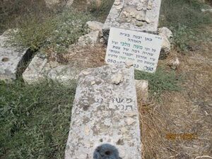 Kefar jasif