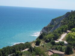ParcoCardeto2
