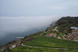 ParcoCardeto