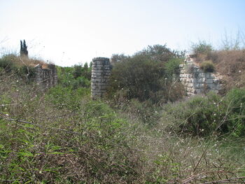 Old Rail Bridge kfar ginis