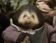 Moley
