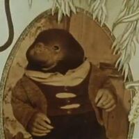Mole Cosgrove Hall Wiki Fandom