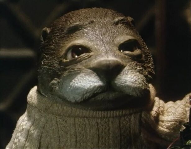 File:Otter.jpg