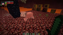 The smartest pig