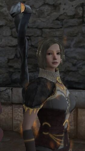 Dragon Age Origins Shapeshifter Guide