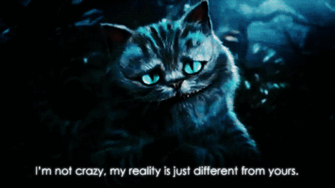 Kot Z Cheshire Dark Bright Wiki Fandom Powered By Wikia