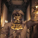 Gold watchers icon