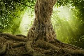 Progéniture d'Yggdrasil