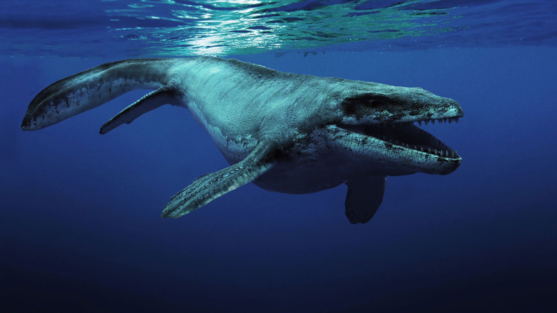 Hasil gambar untuk foto Mosasaurus