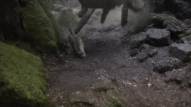 Lore running
