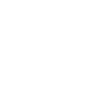 Sileni wt
