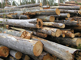 Logging