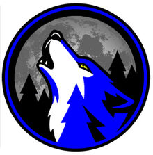DFHS School Logo