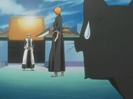 Yoruichi questioning Ichigo's stupidity