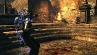 Dark3
