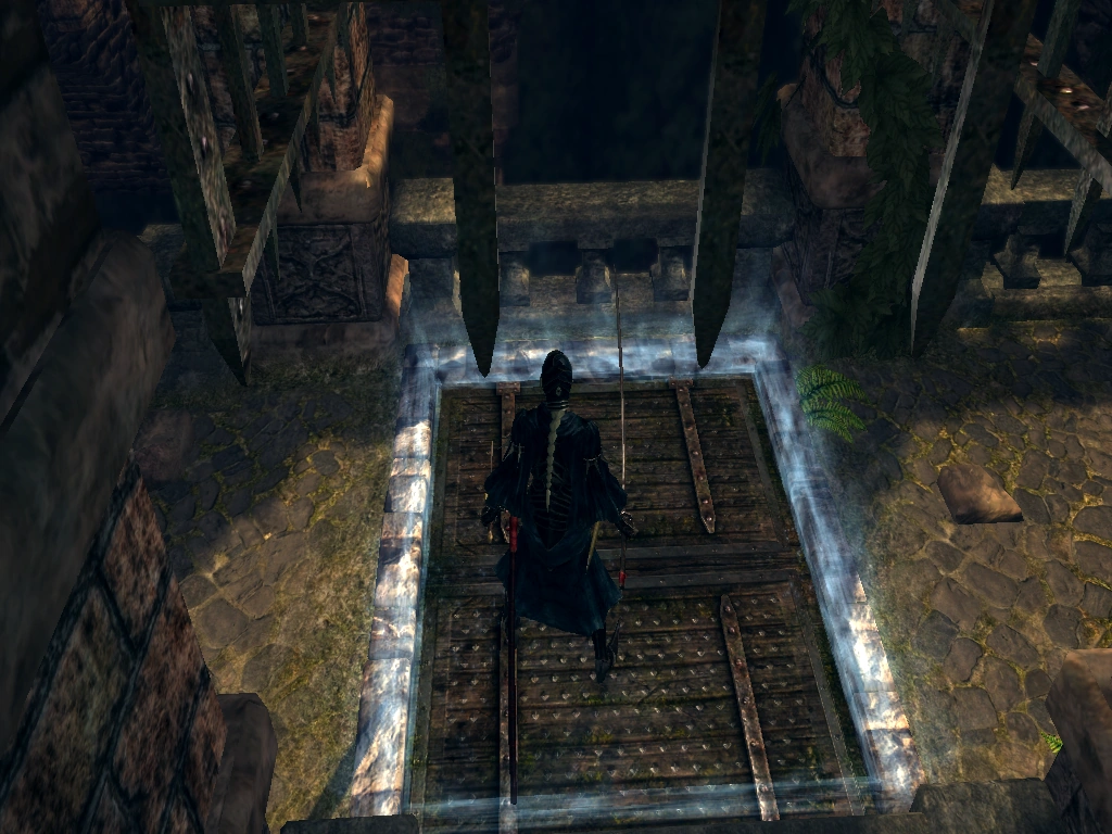 Image Common trap door.png Dark Souls Wiki FANDOM powered by Wikia