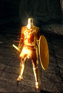 Solaire de Astora | Wiki Dark Souls | Fandom