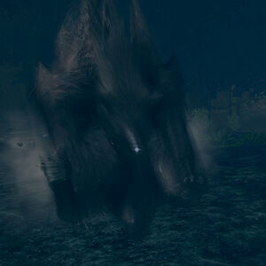 Great Feline Dark Souls Wiki Fandom