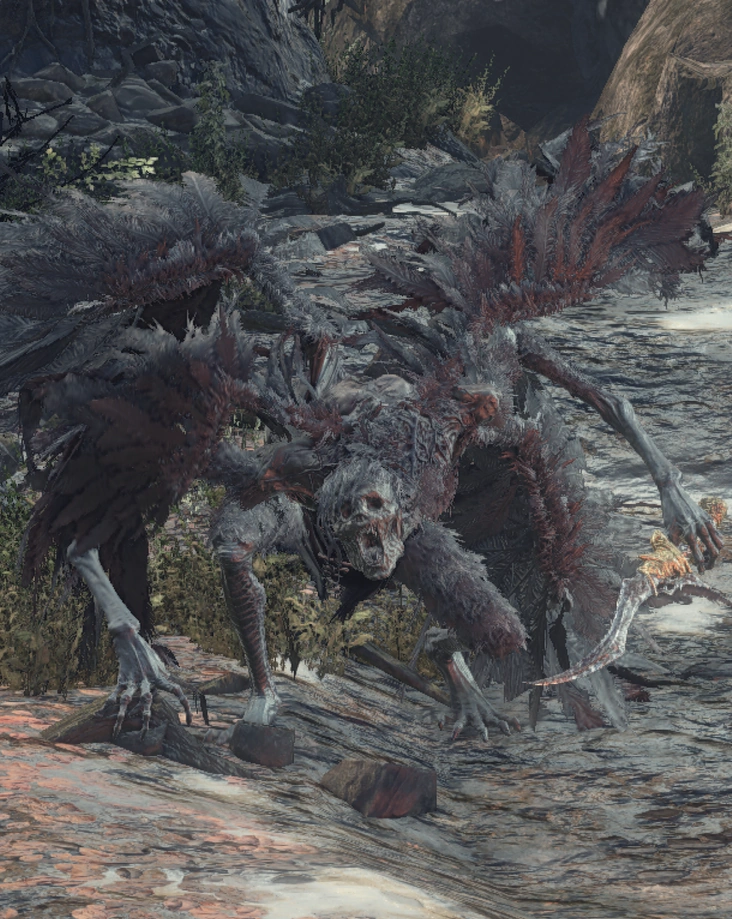 Corvian Dark Souls Wiki FANDOM powered by Wikia