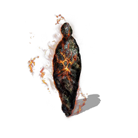 Ember Dark Souls Wiki Fandom