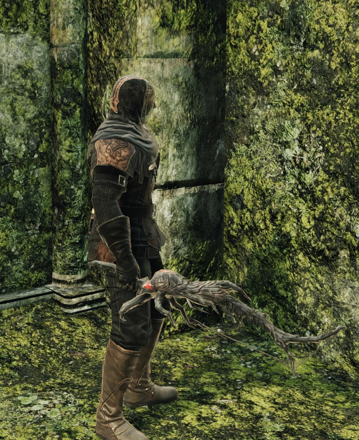 Изображение Spider Fang.jpg Dark Souls вики FANDOM powered by Wikia