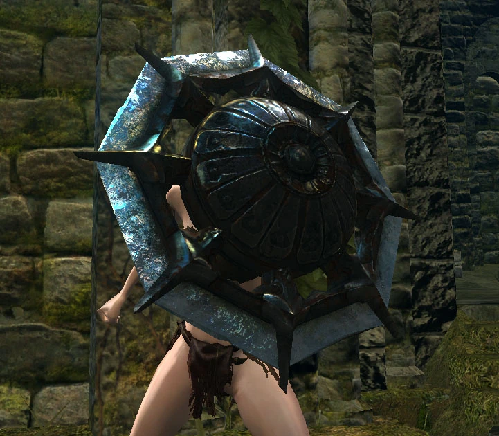 Crystal Ring Shield Dark Souls Wiki Fandom