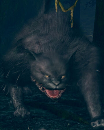 Great Feline Dark Souls Wiki Fandom