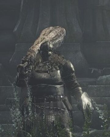 Exile Watchdog Dark Souls Wiki Fandom