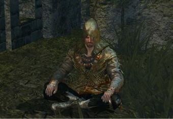 Laurentius of the Great Swamp | Dark Souls Wiki | Fandom