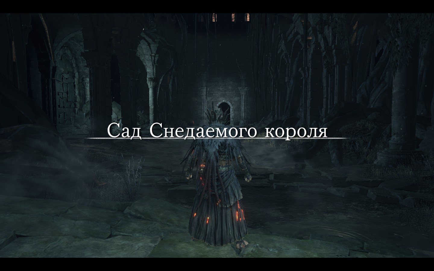 Dark souls склеп темной луны как попасть