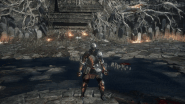 perseverance skill dark souls