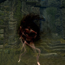 Dark Hand Dark Souls Wiki Fandom