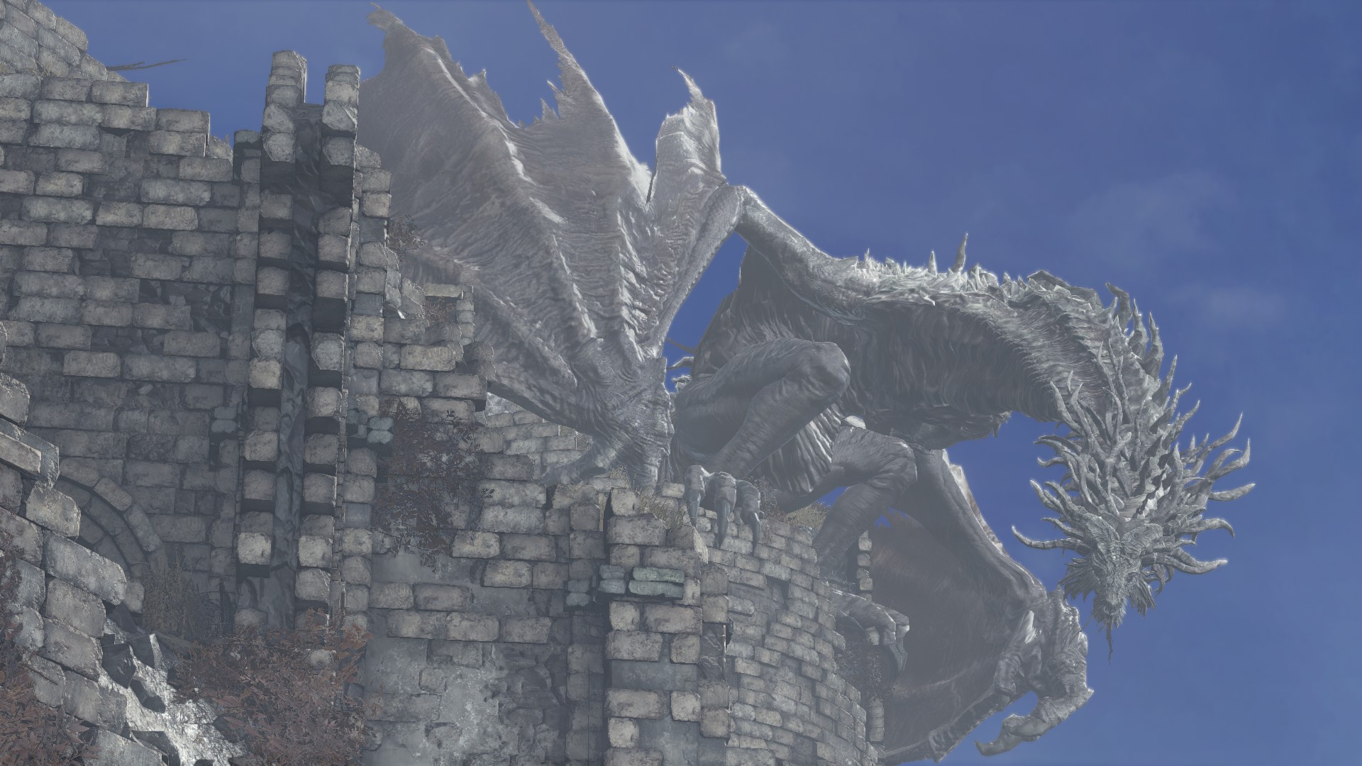 Image - Ancient Wyvern - 02.jpg | Dark Souls Wiki | FANDOM powered by Wikia