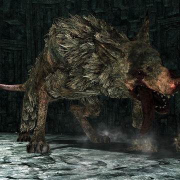 Royal Rat Authority Dark Souls Wiki Fandom