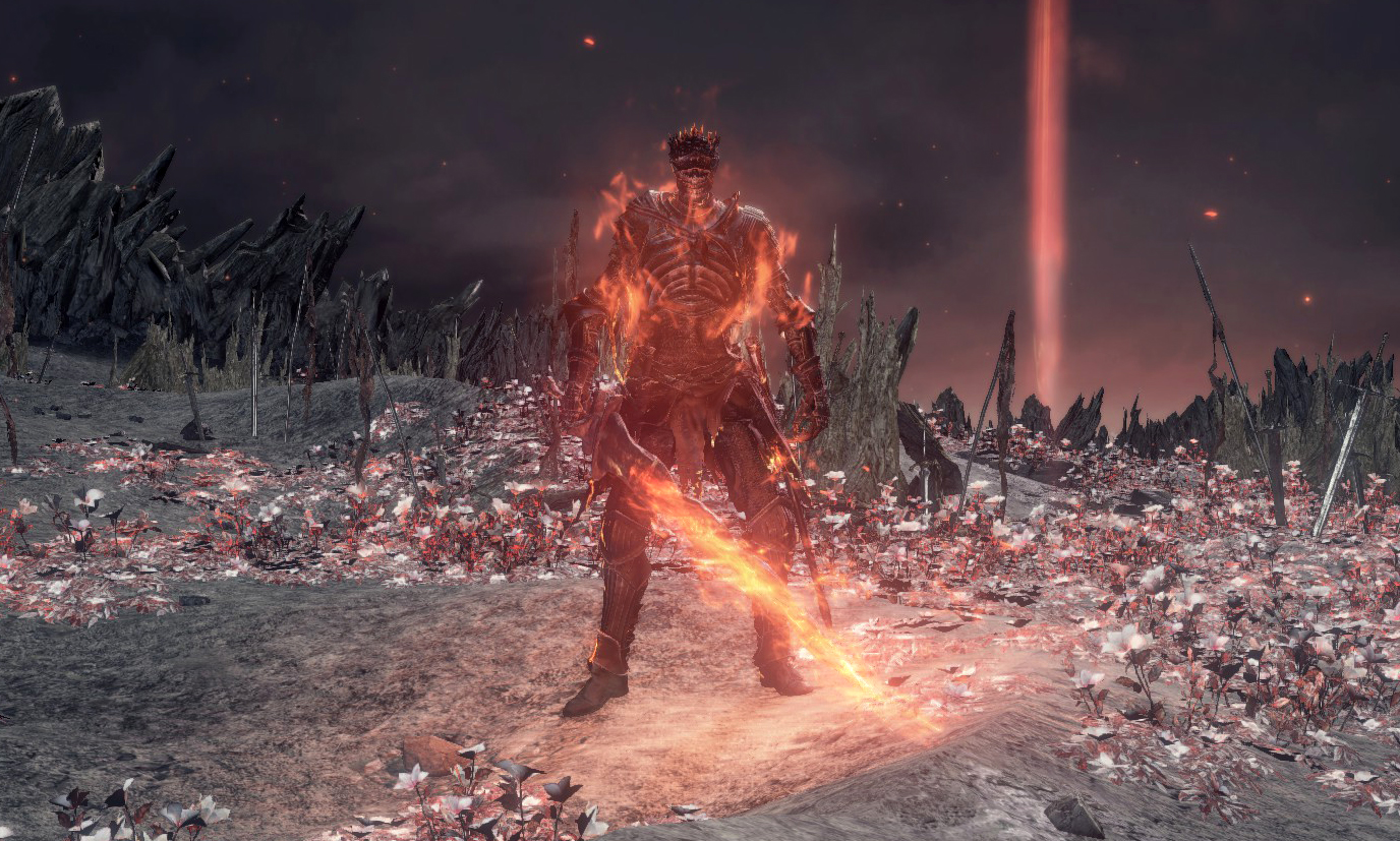 Image - Soul of Cinder - Phase 2.jpg | Dark Souls Wiki | FANDOM powered ...
