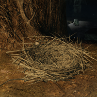 Dyna Tillo Dark Souls Wiki Fandom