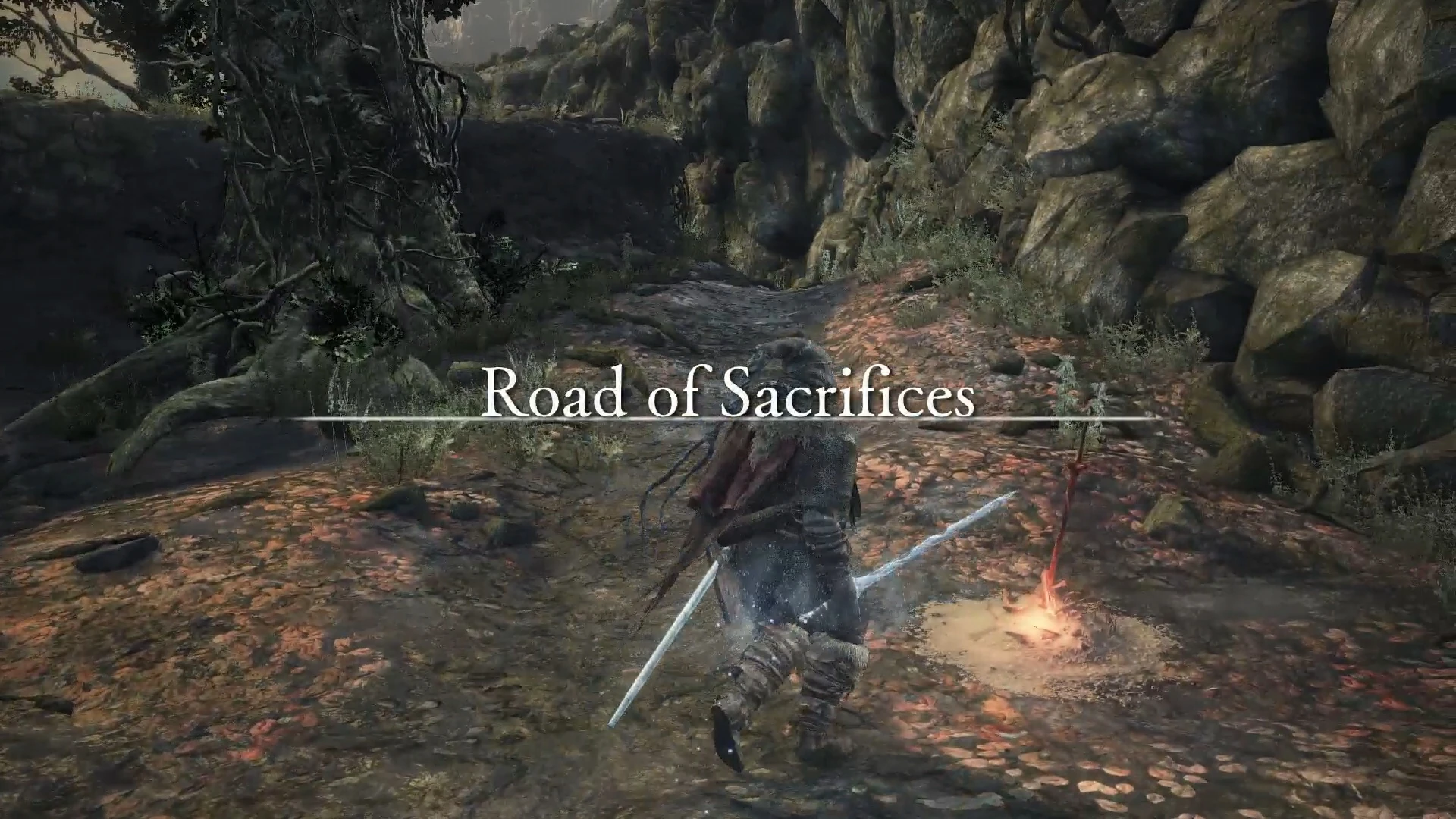 локация путь жертв dark souls 3. путь жертвы соулс 3. дарк соулс 3 проклятое великое дерево. великое дерево дс3. Dark souls 3.